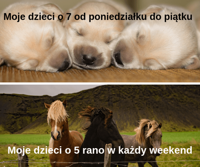 Symbol zastępczy tekstu(1)